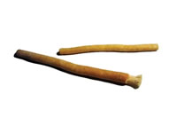 Salvadora persica